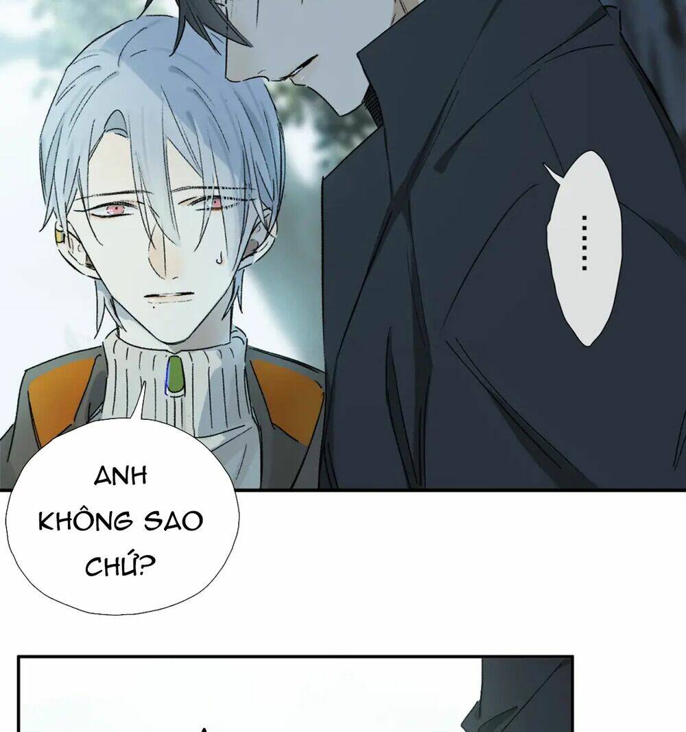page_14.jpg