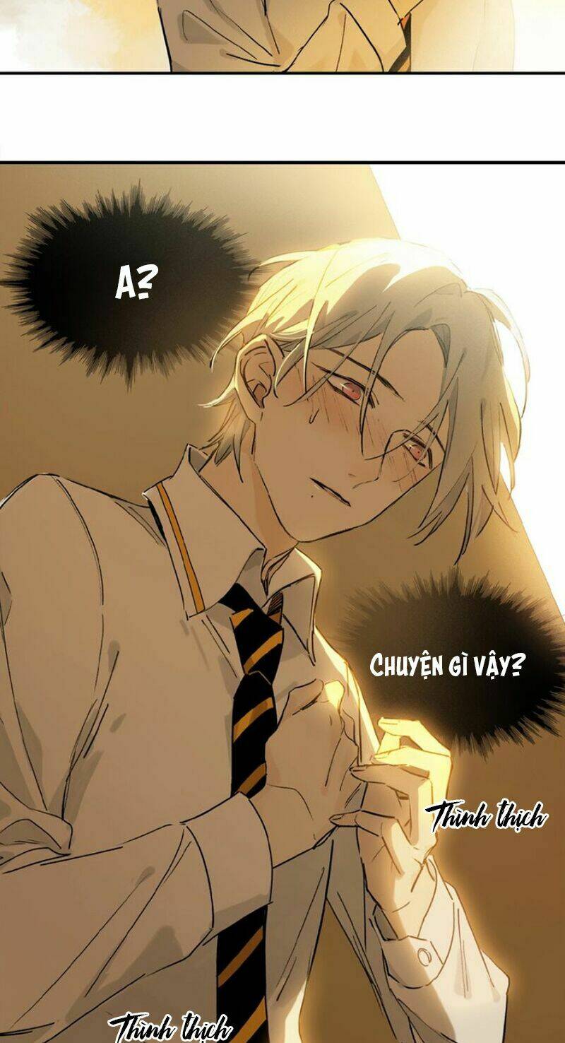 page_29.jpg