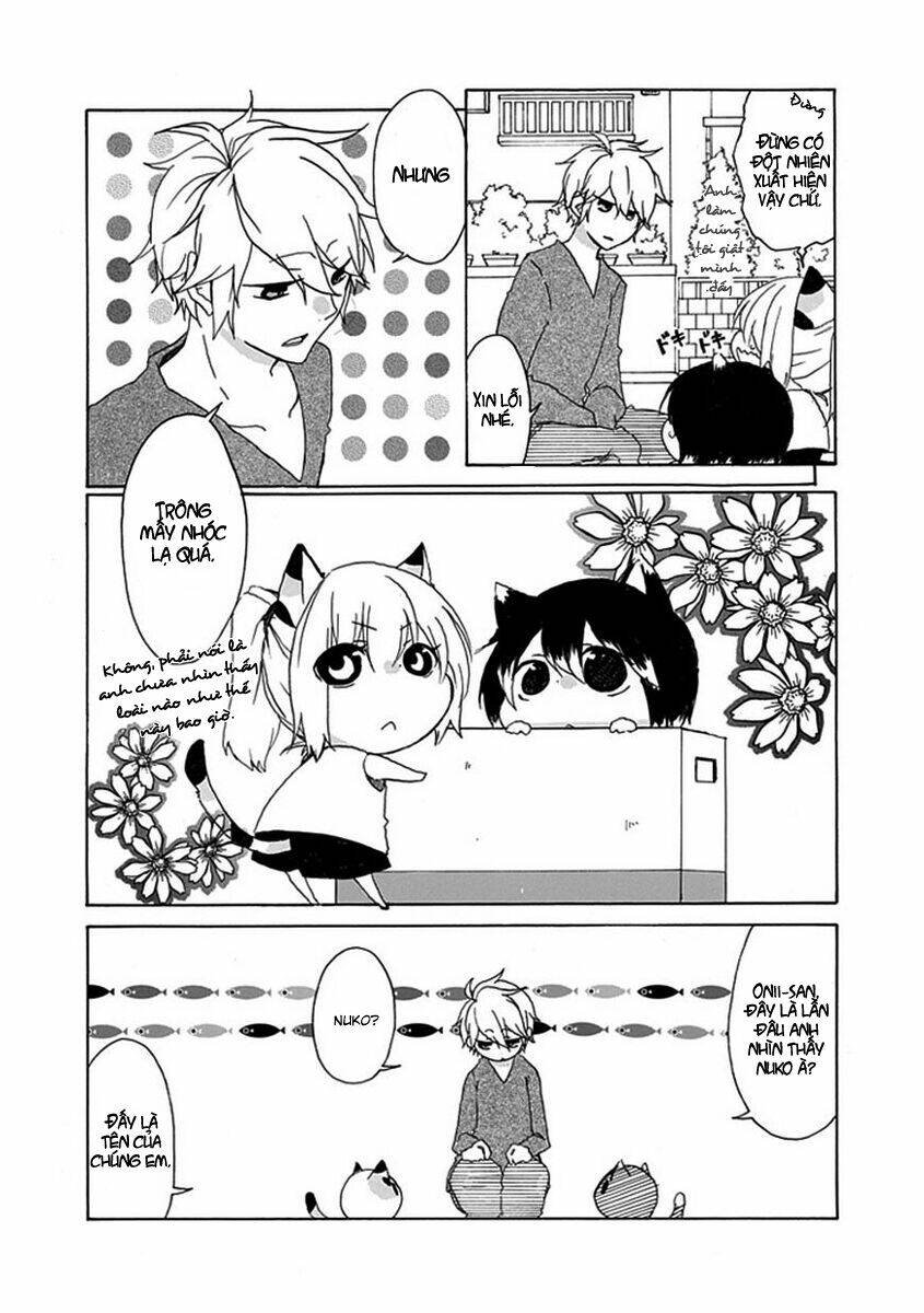 page_5.jpg