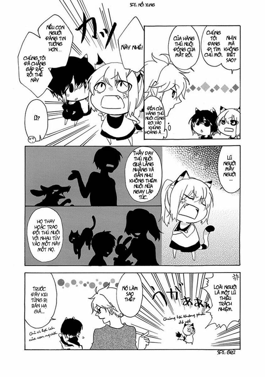 page_7.jpg