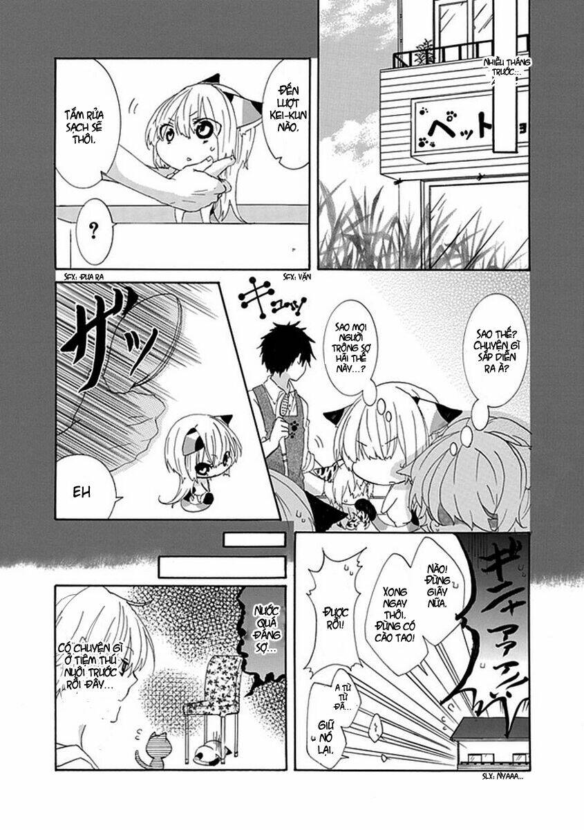 page_5.jpg