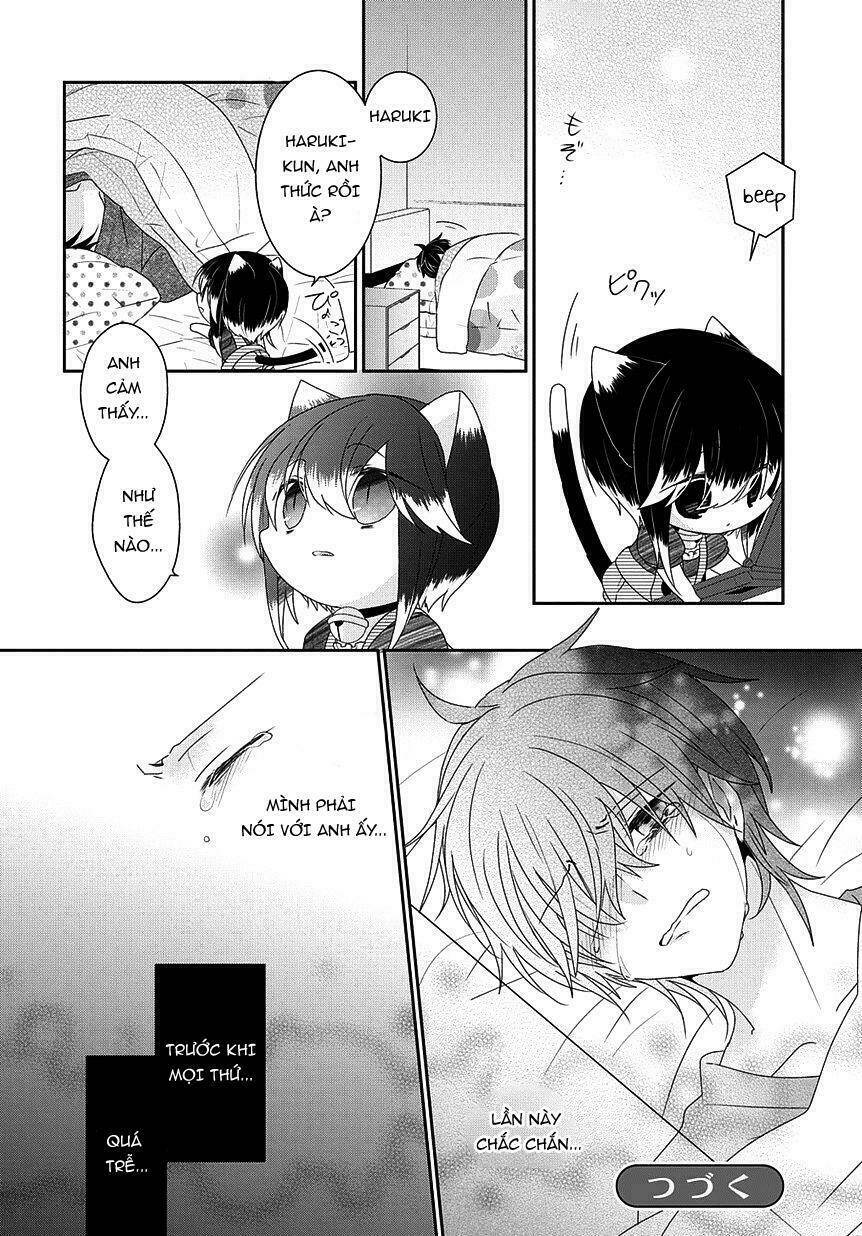 page_14.jpg