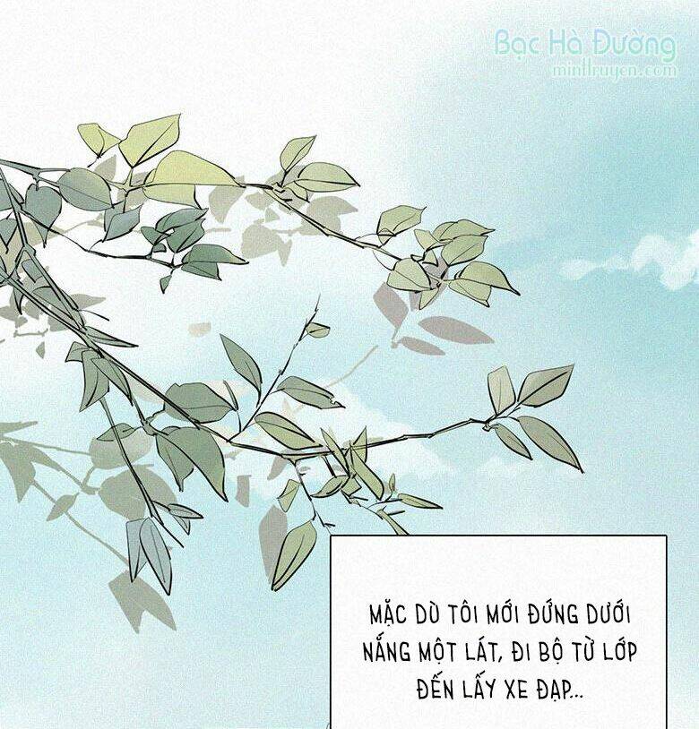 page_13.jpg