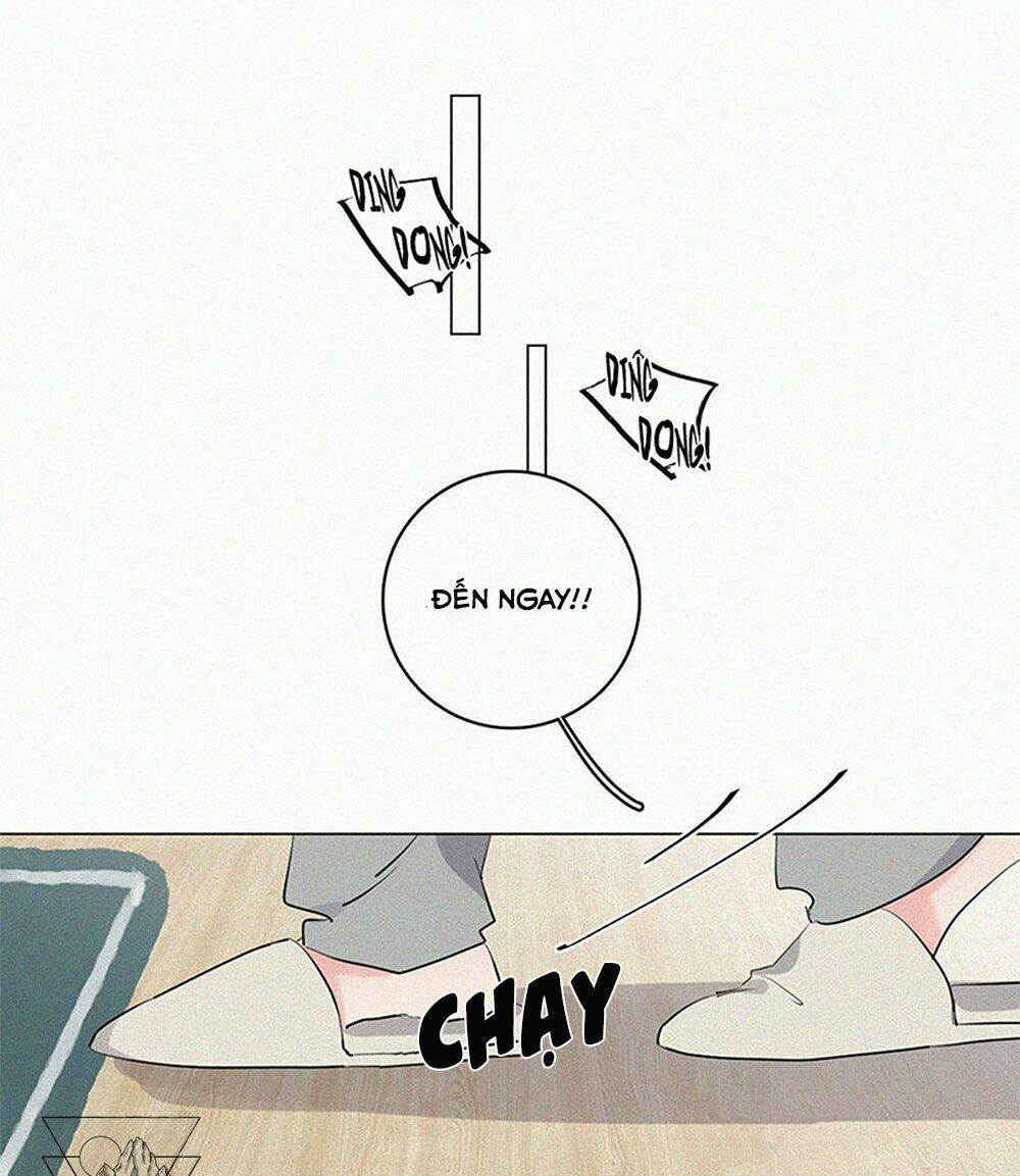 page_7.jpg