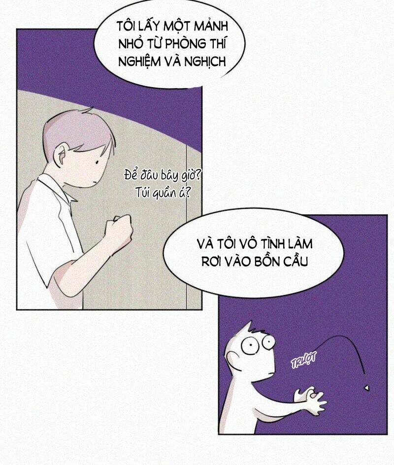 page_29.jpg