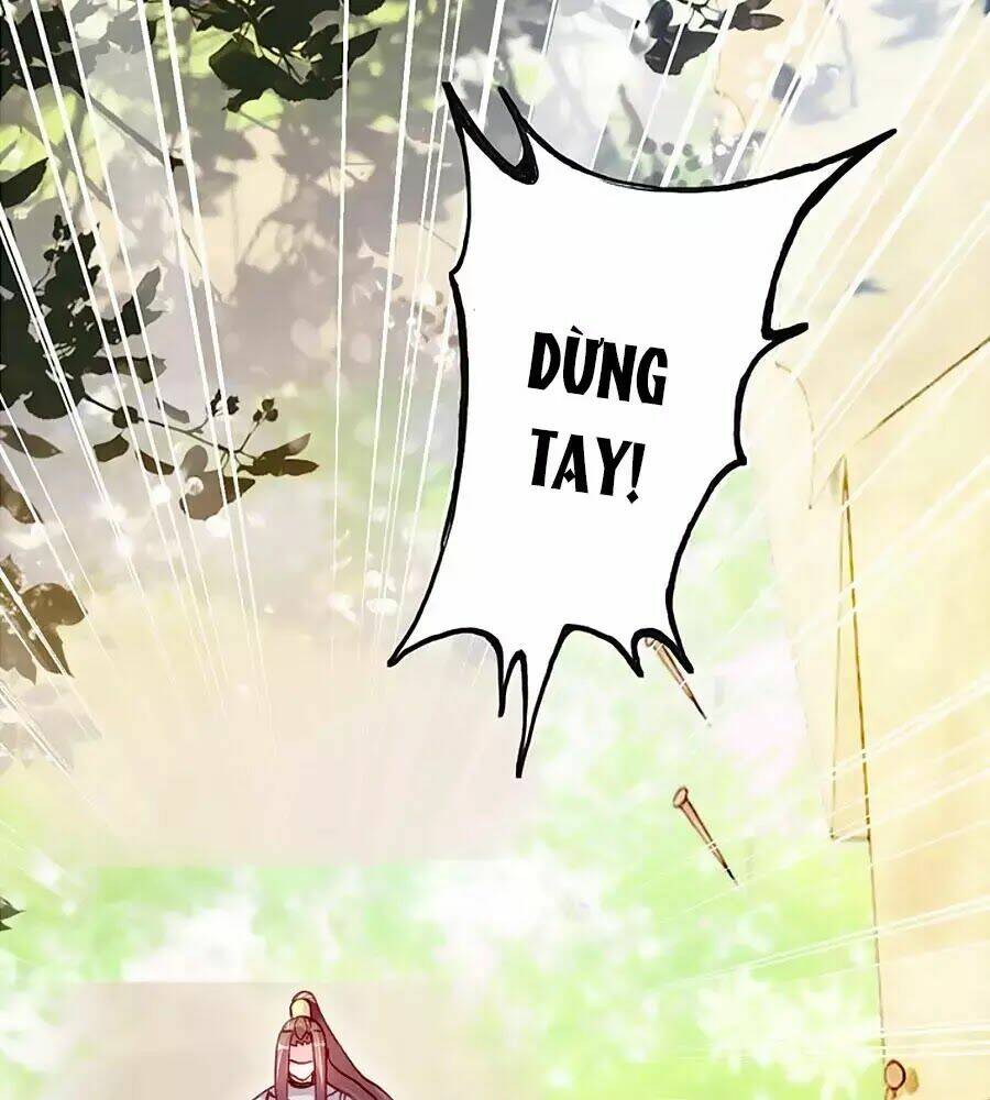 page_25.jpg