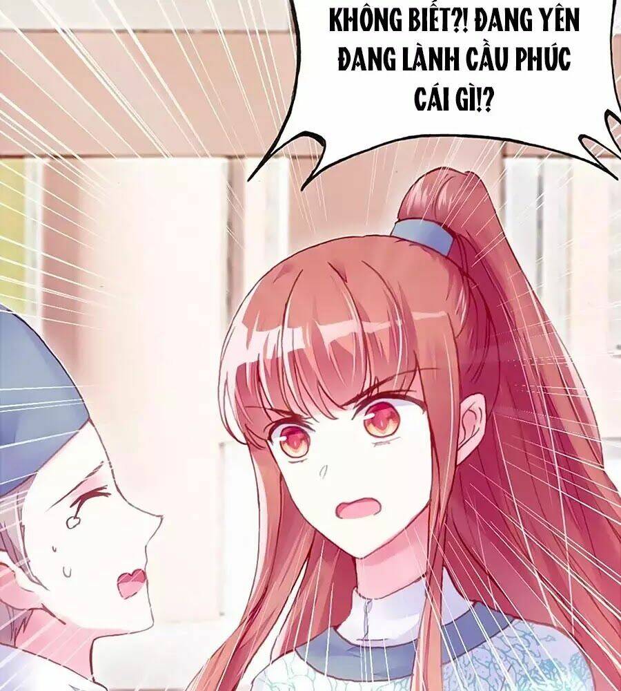 page_24.jpg