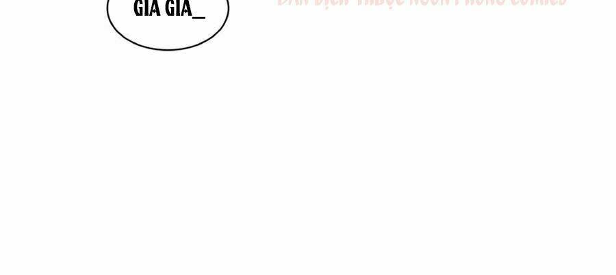 page_27.jpg