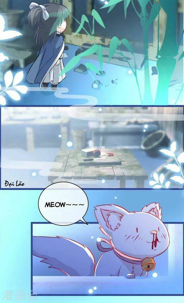 page_14.jpg
