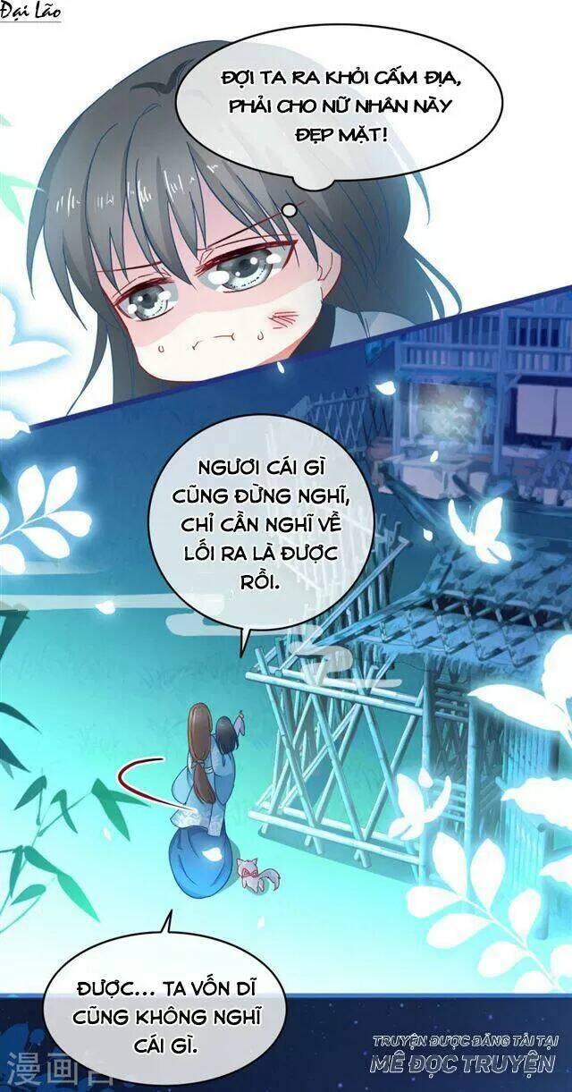 page_11.jpg