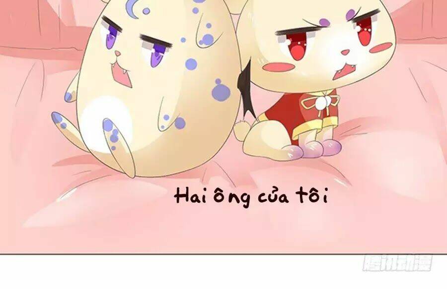 page_84.jpg