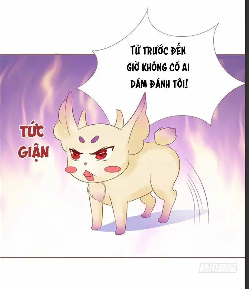 page_8.jpg