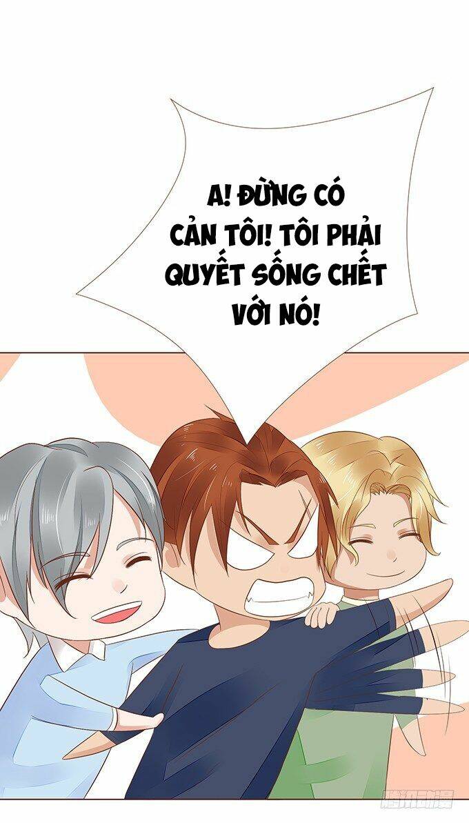 page_17.jpg