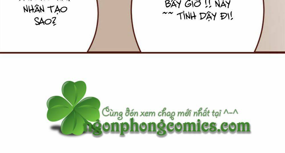 page_26.jpg
