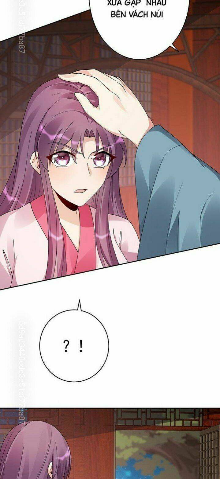page_24.jpg