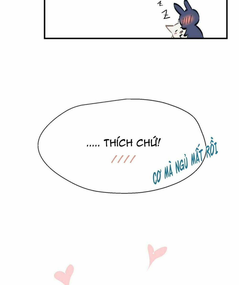 page_17.jpg
