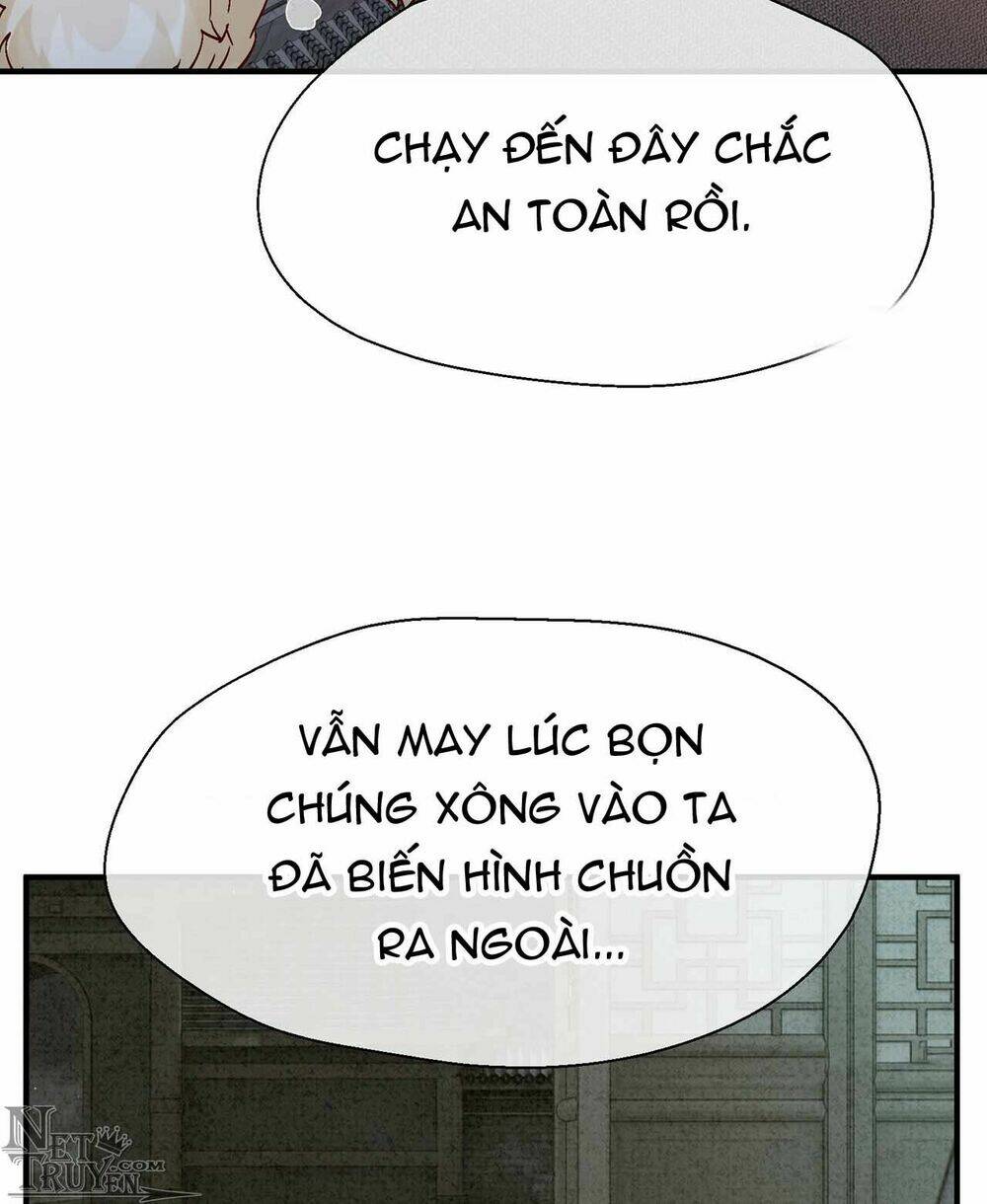 page_29.jpg