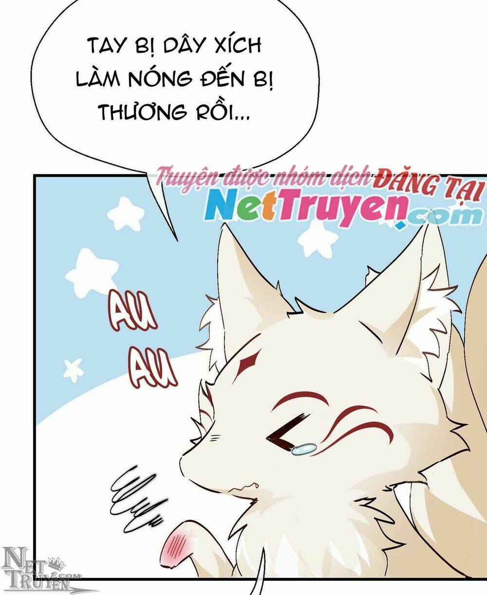 page_31.jpg