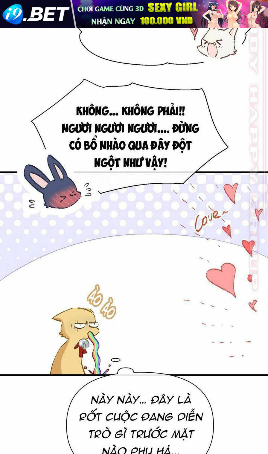 page_13.jpg