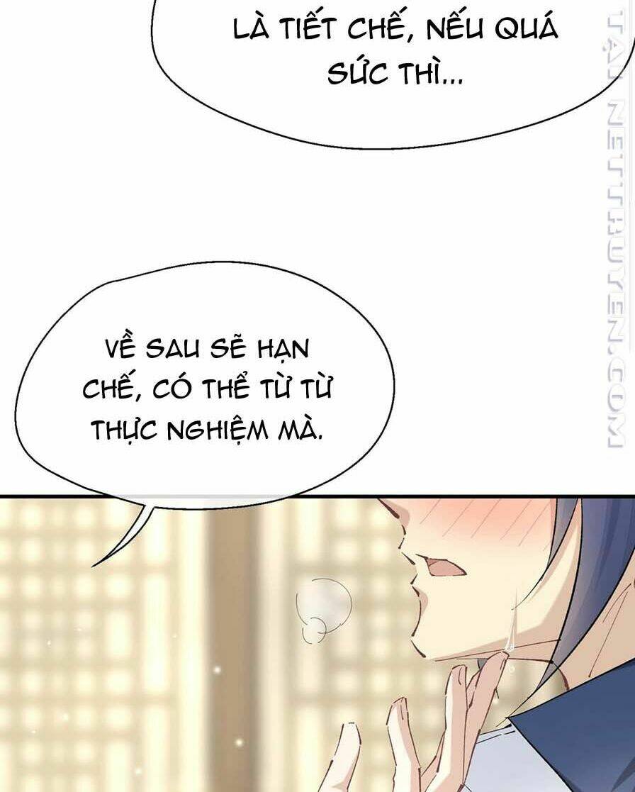 page_21.jpg