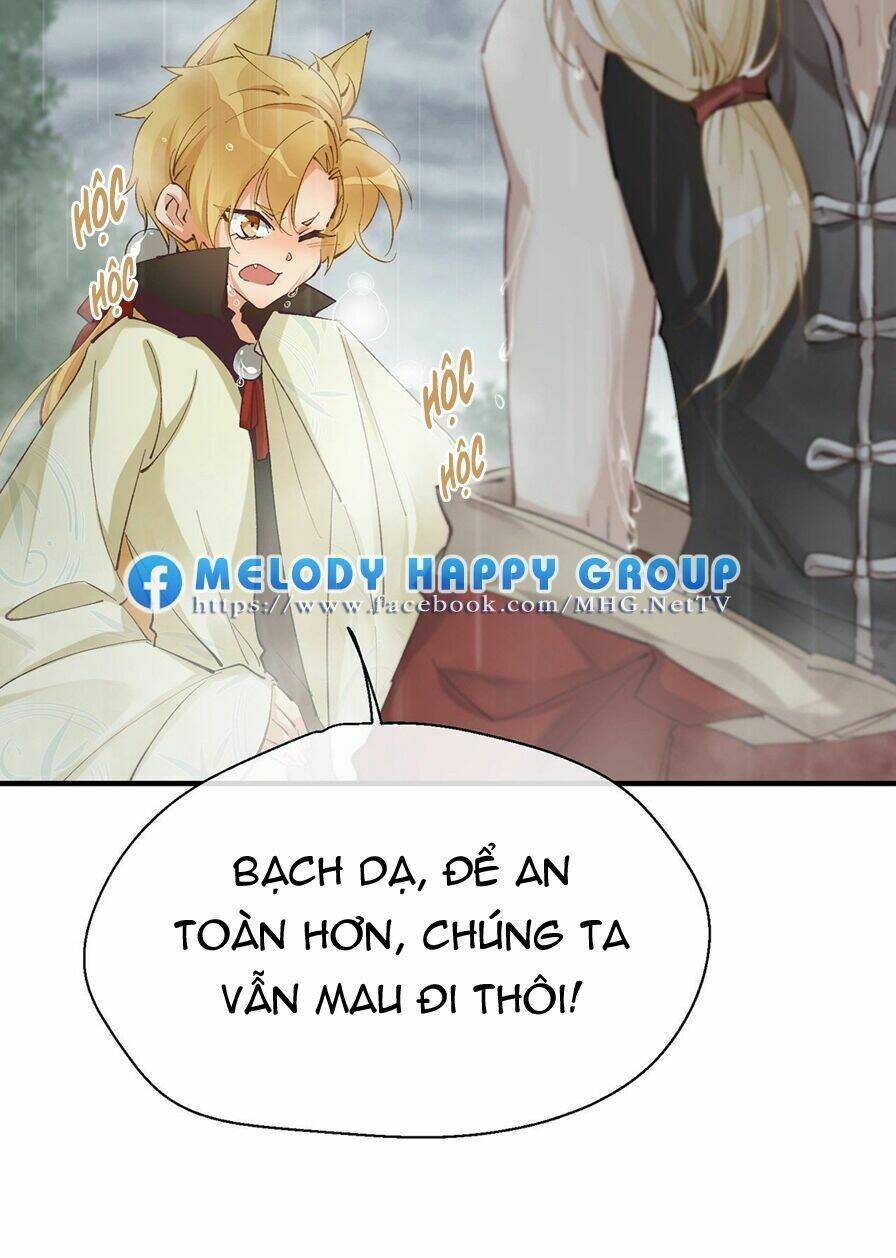 page_29.jpg