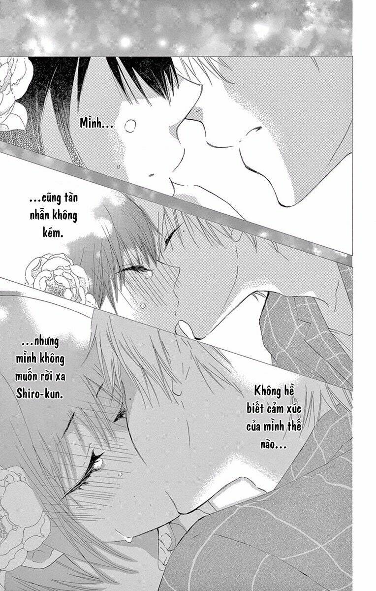 page_41.jpg