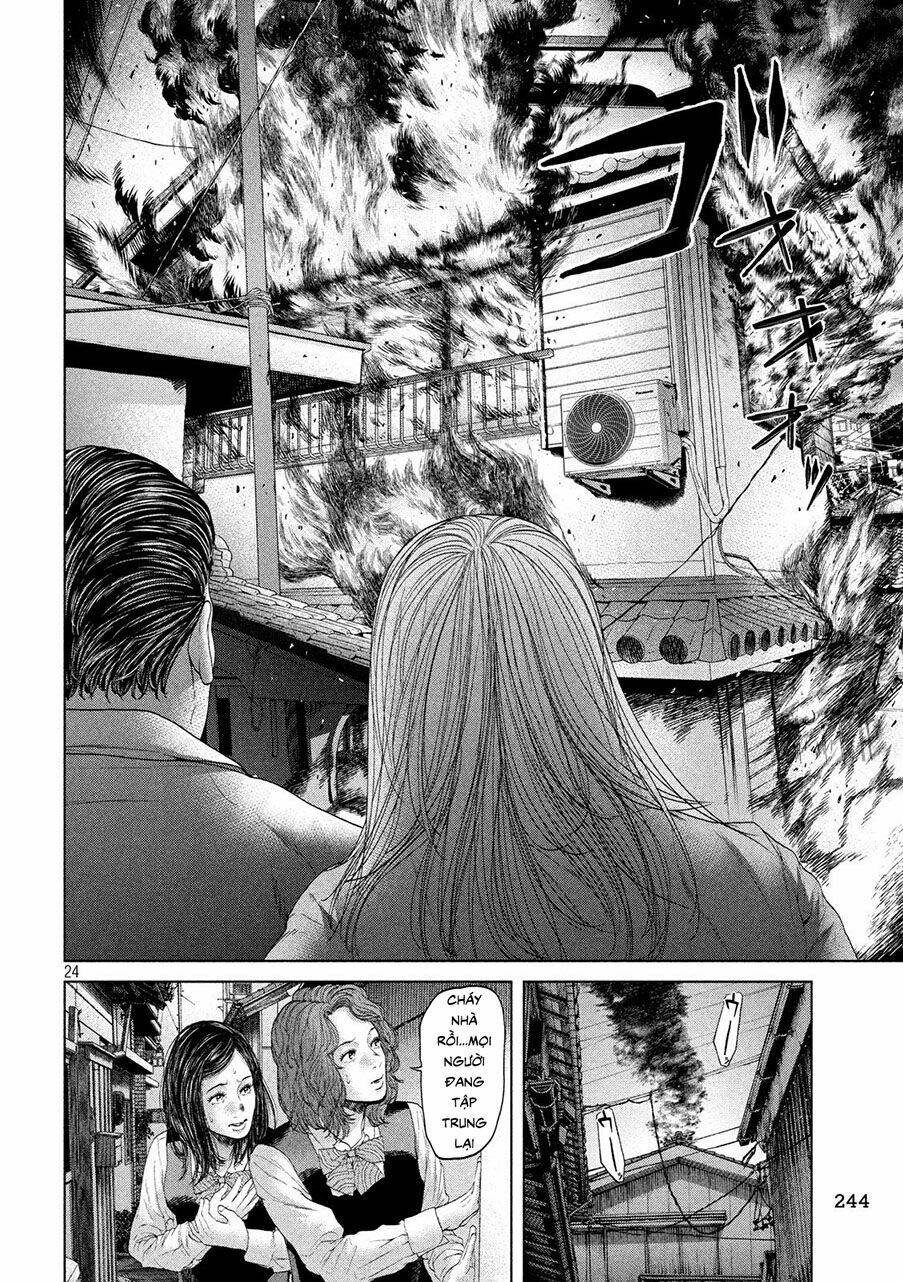 page_24.jpg