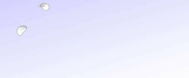 page_7.jpg