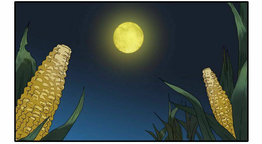 page_28.jpg