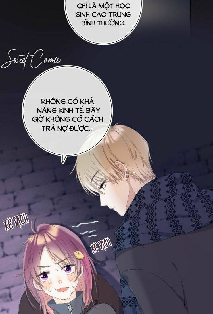page_35.jpg