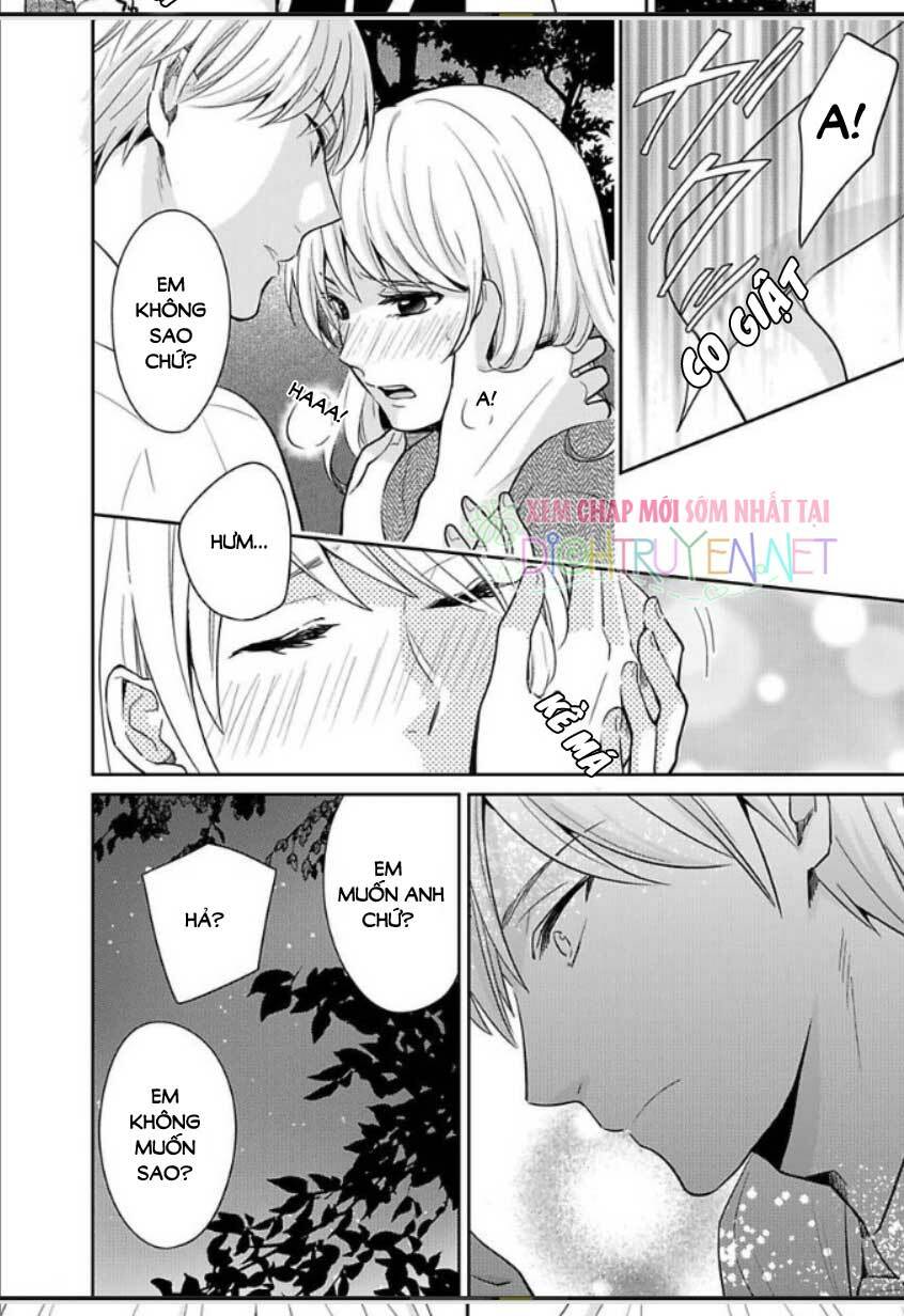 page_19.jpg