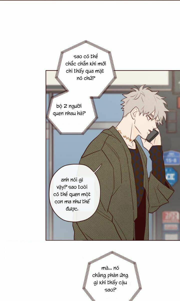 page_24.jpg