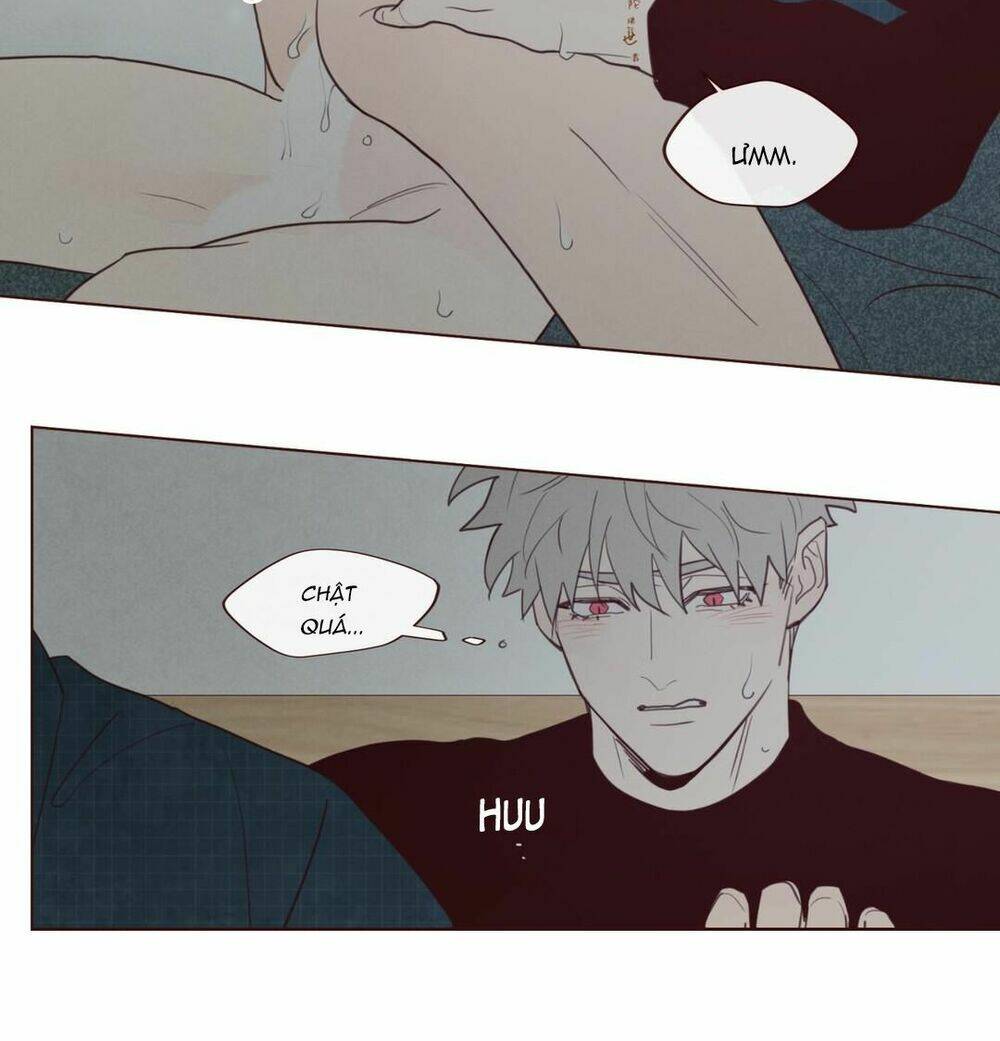 page_28.jpg