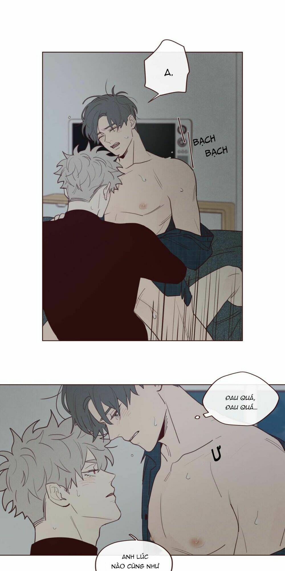page_29.jpg