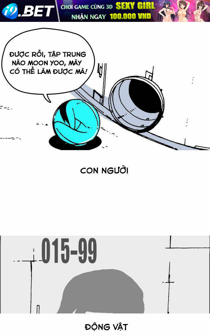 page_23.jpg