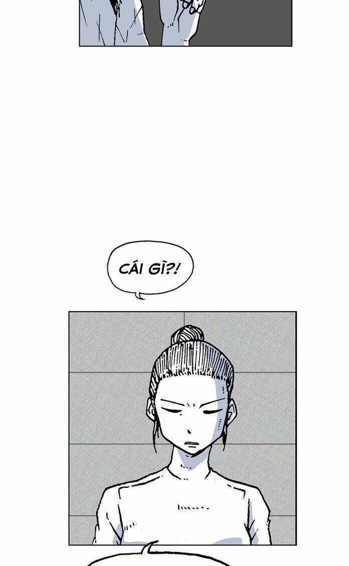 page_16.jpg