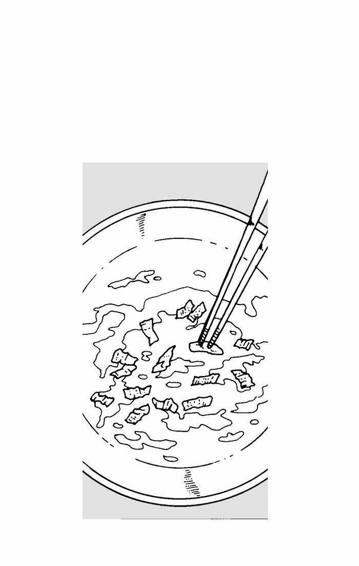page_36.jpg