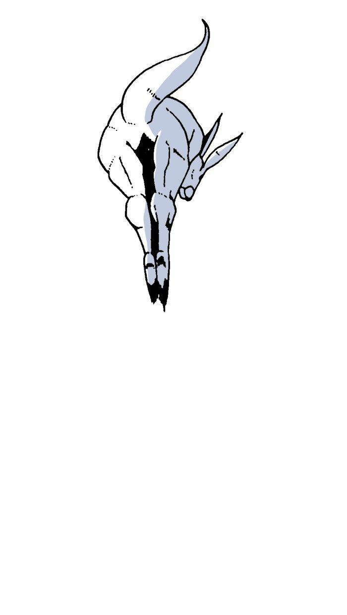 page_27.jpg