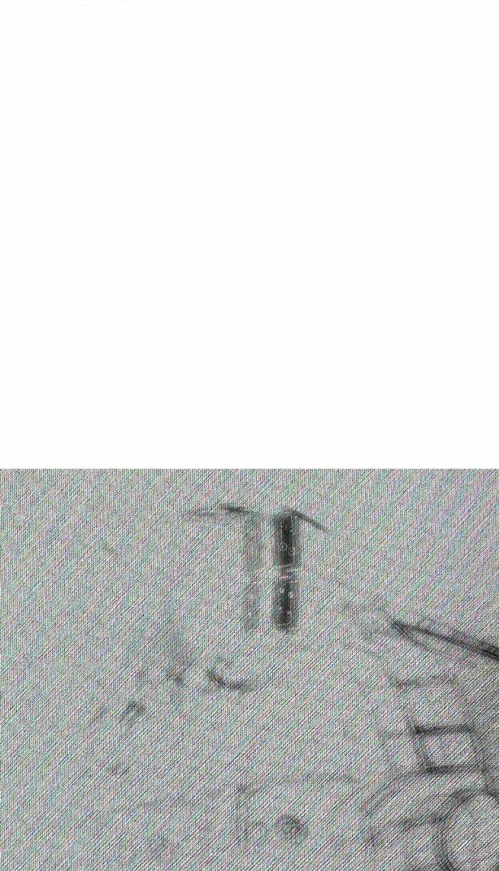 page_70.jpg