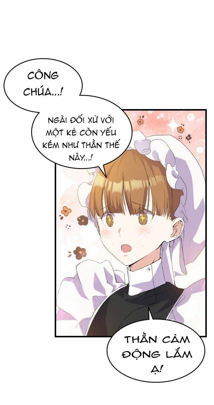 page_23.jpg