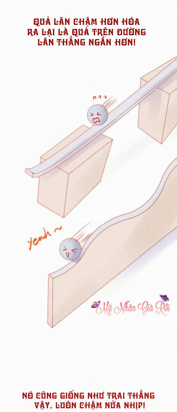 page_3.jpg