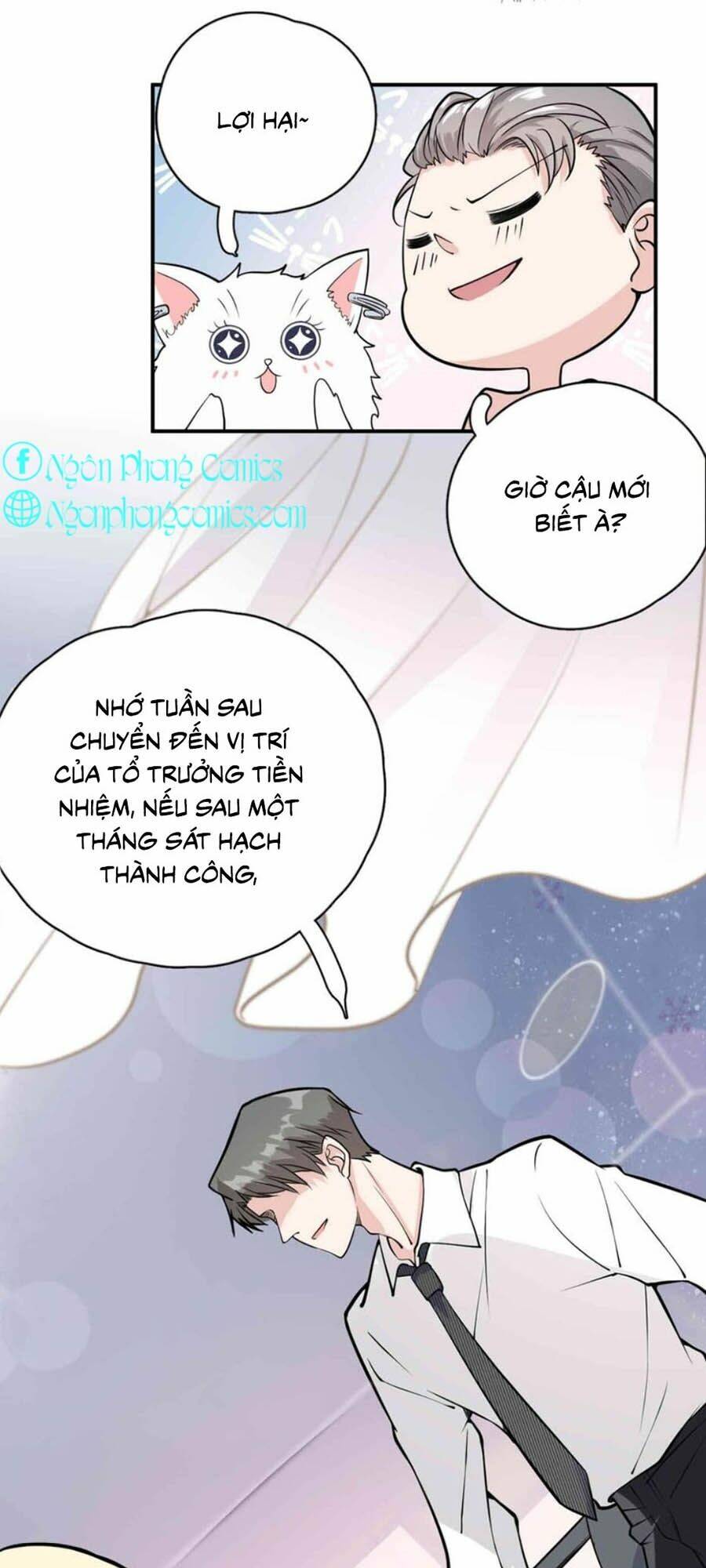 page_16.jpg