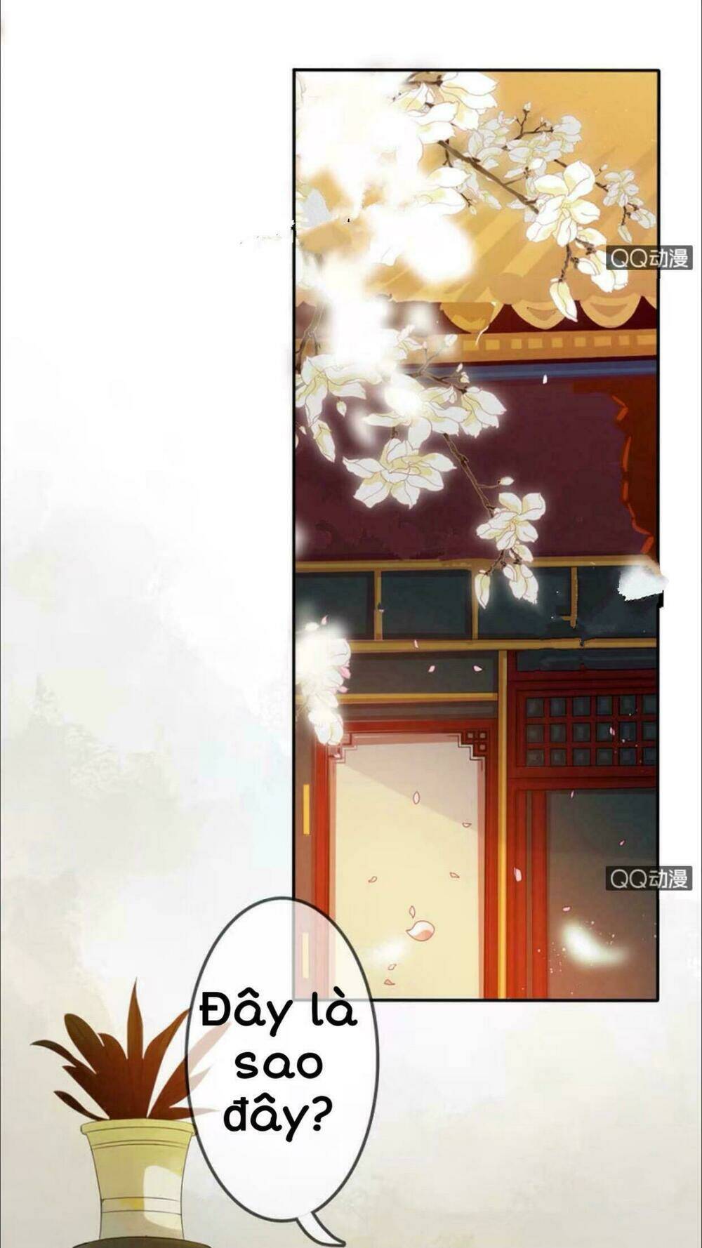page_25.jpg