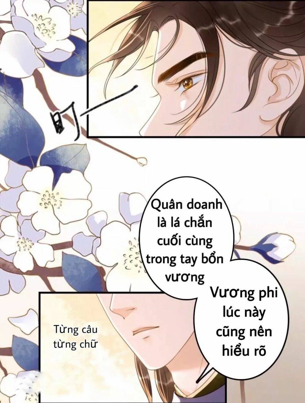 page_24.jpg