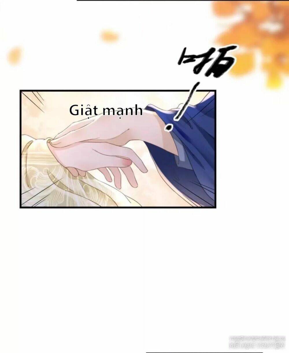 page_26.jpg