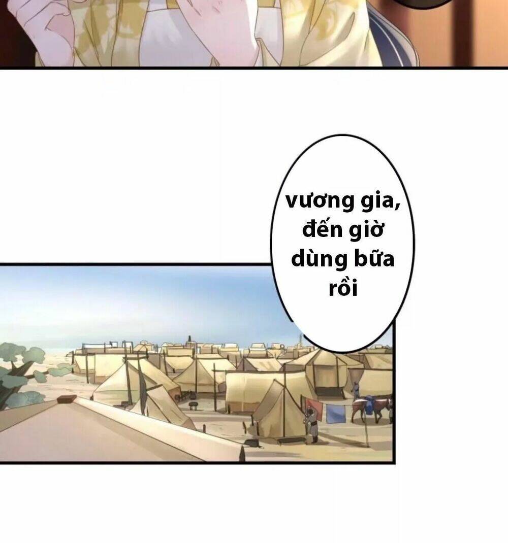 page_19.jpg