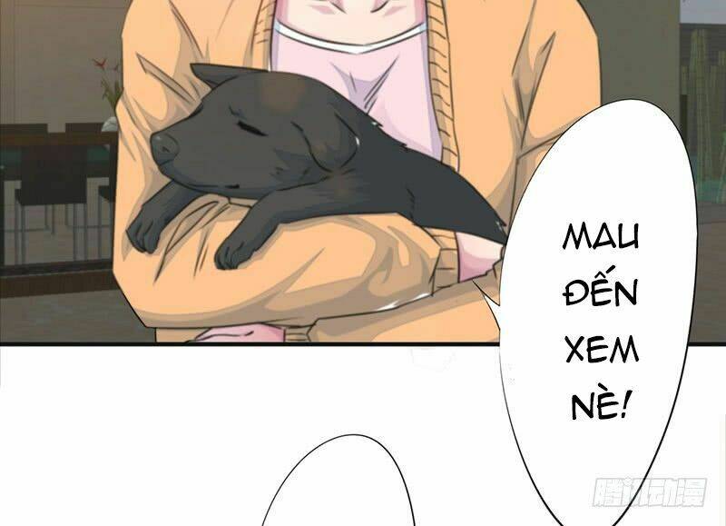 page_63.jpg