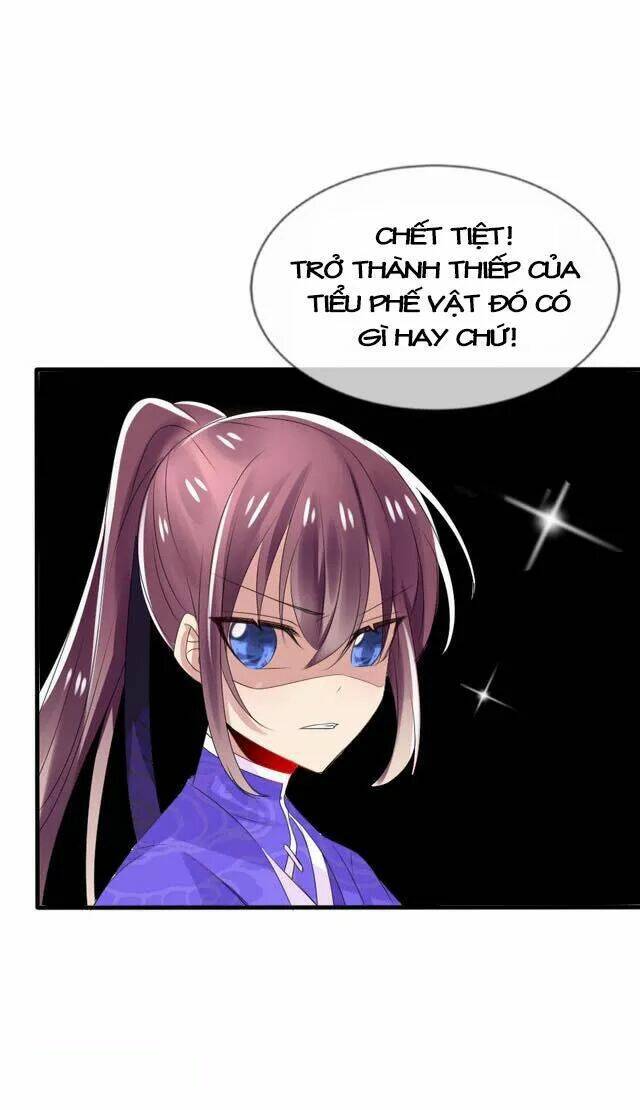 page_8.jpg