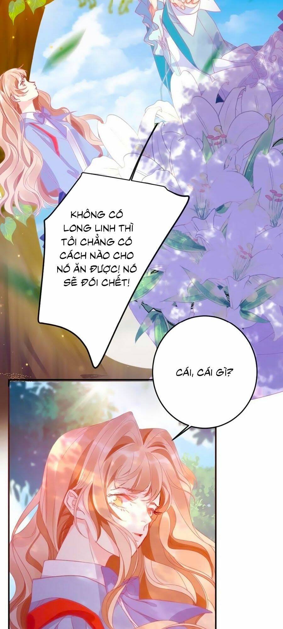 page_16.jpg
