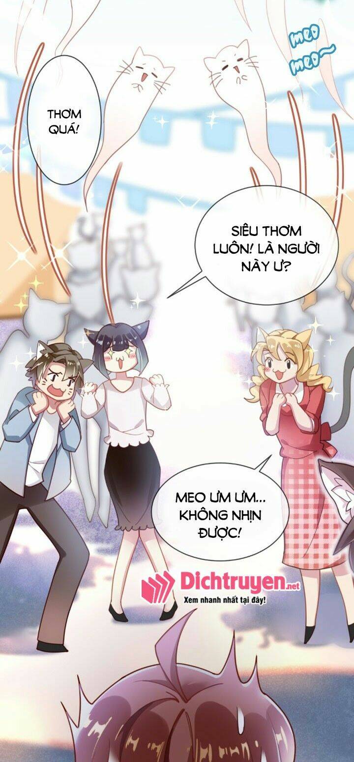 page_19.jpg